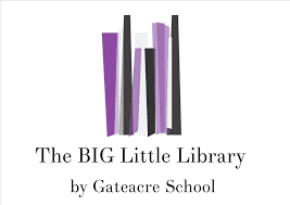 Big Little Library
